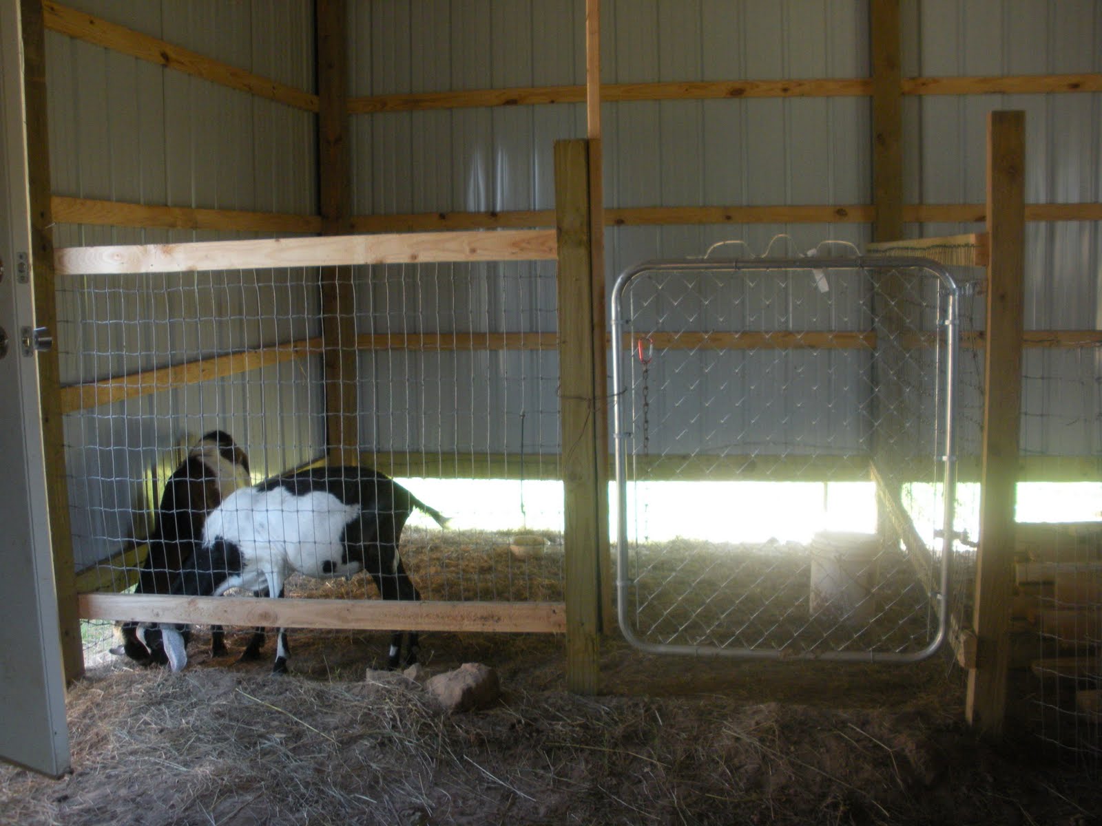 types-of-goat-shed-design-talk