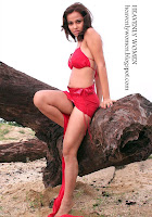 Hot and Sexy Bollywood Actress NISHA KOTHARI