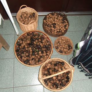 walnuts (onemorehandbag)