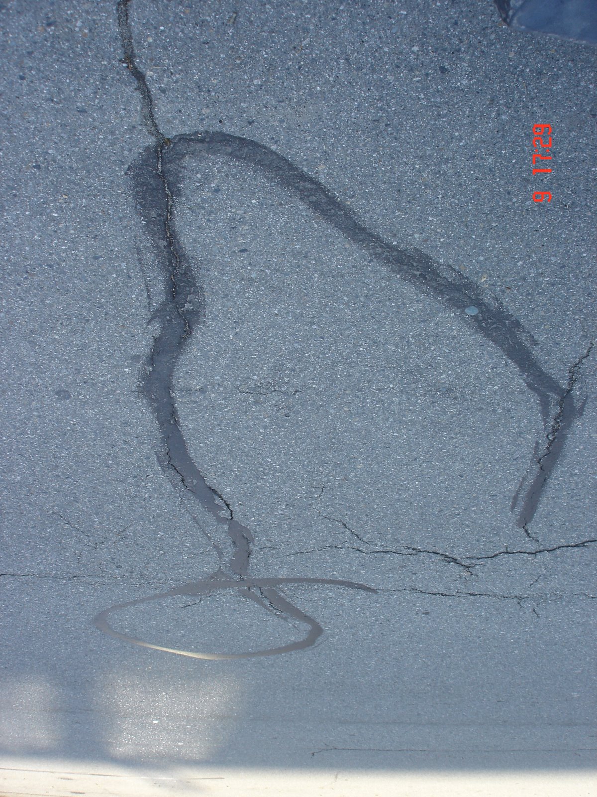 [DSC01927.JPG]