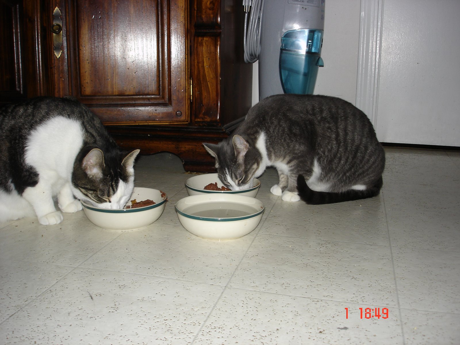 [DSC01907.JPG]