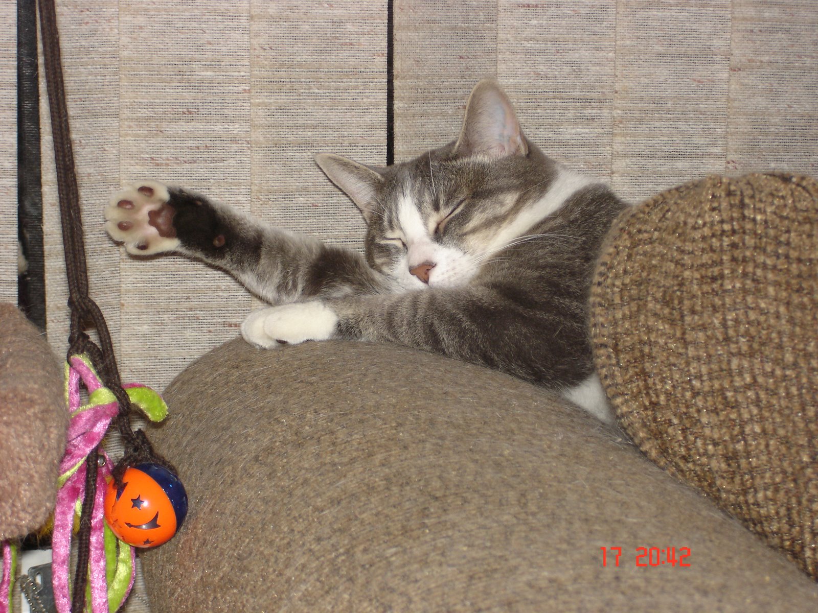 [DSC02013.JPG]