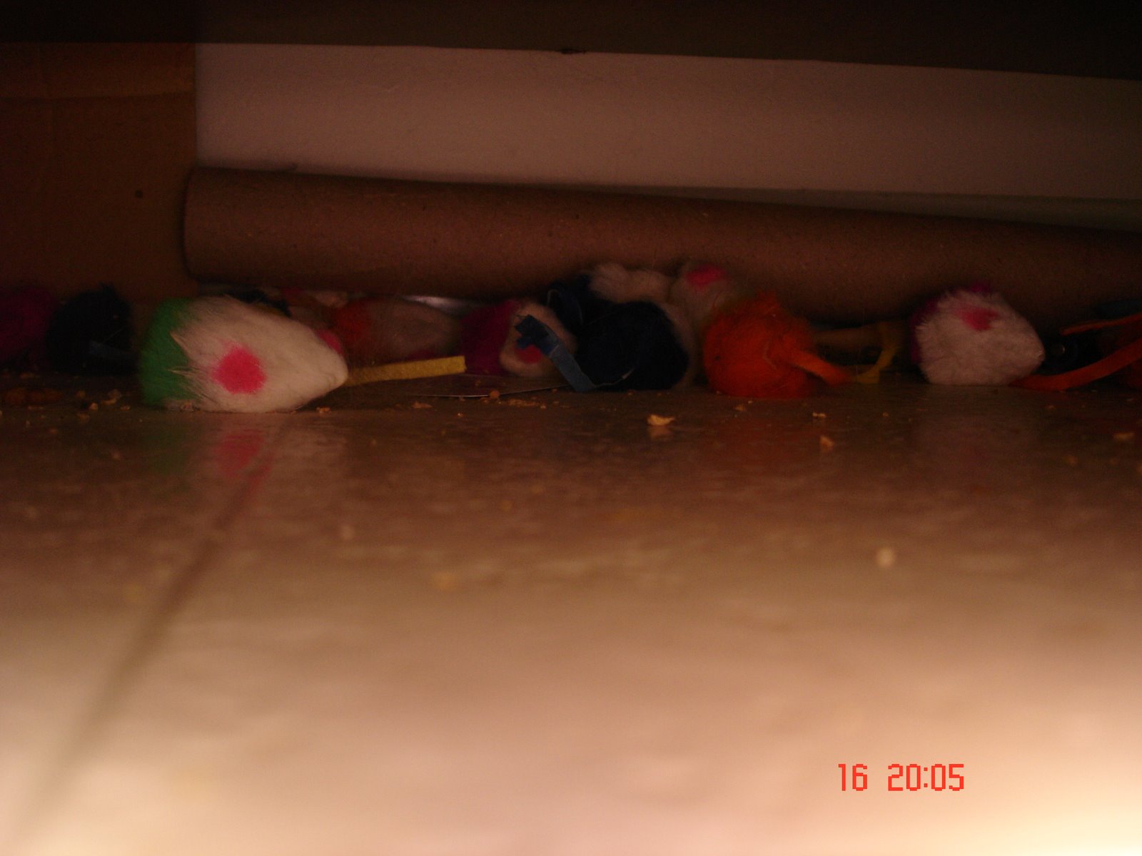 [DSC02055.JPG]