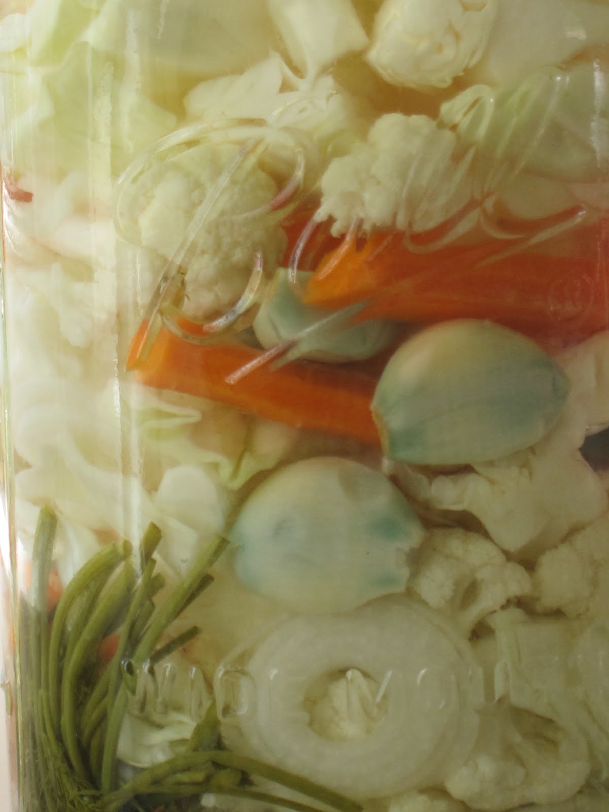 Blue Garlic AOK Root Simple