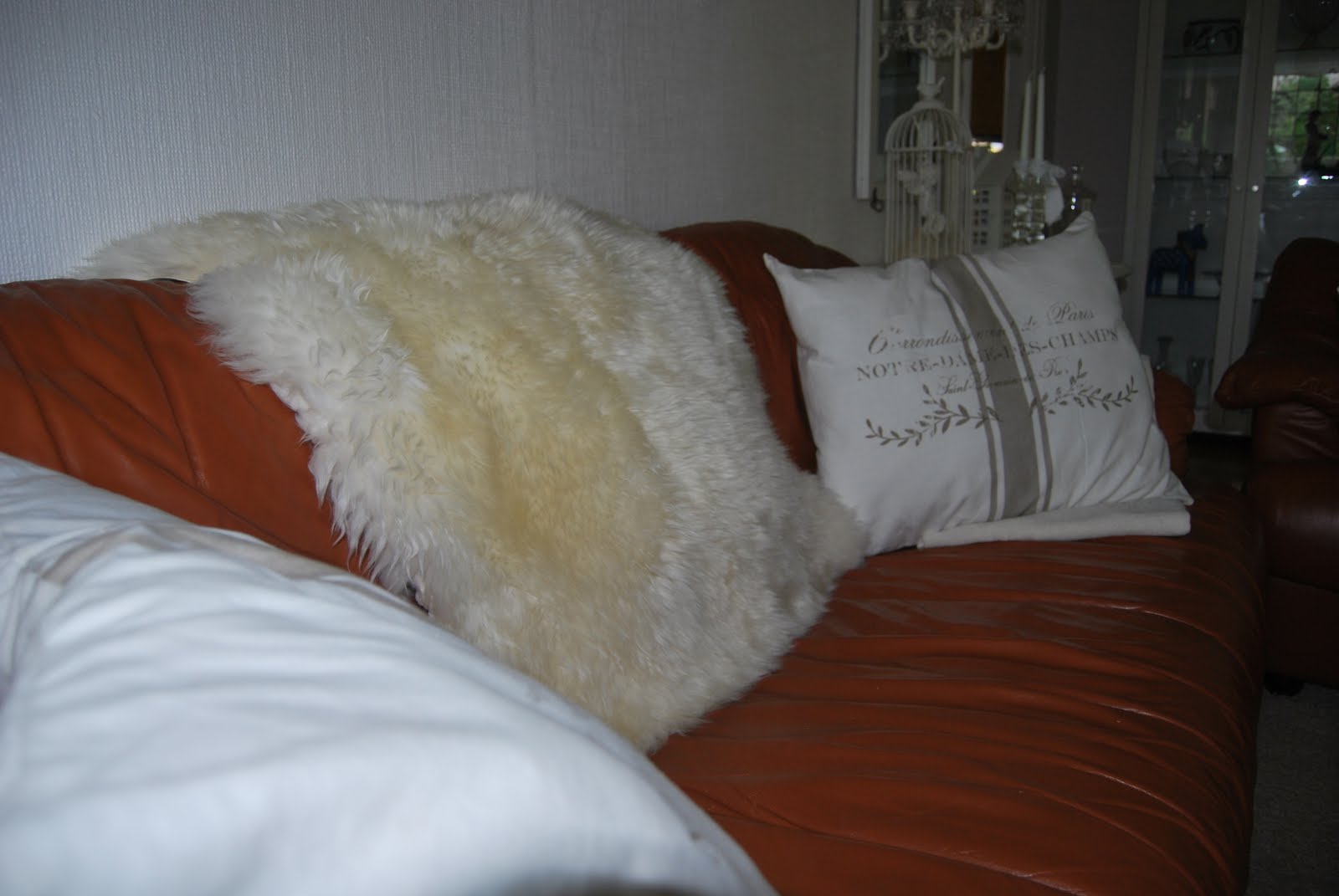 MöbelHunden september 2010