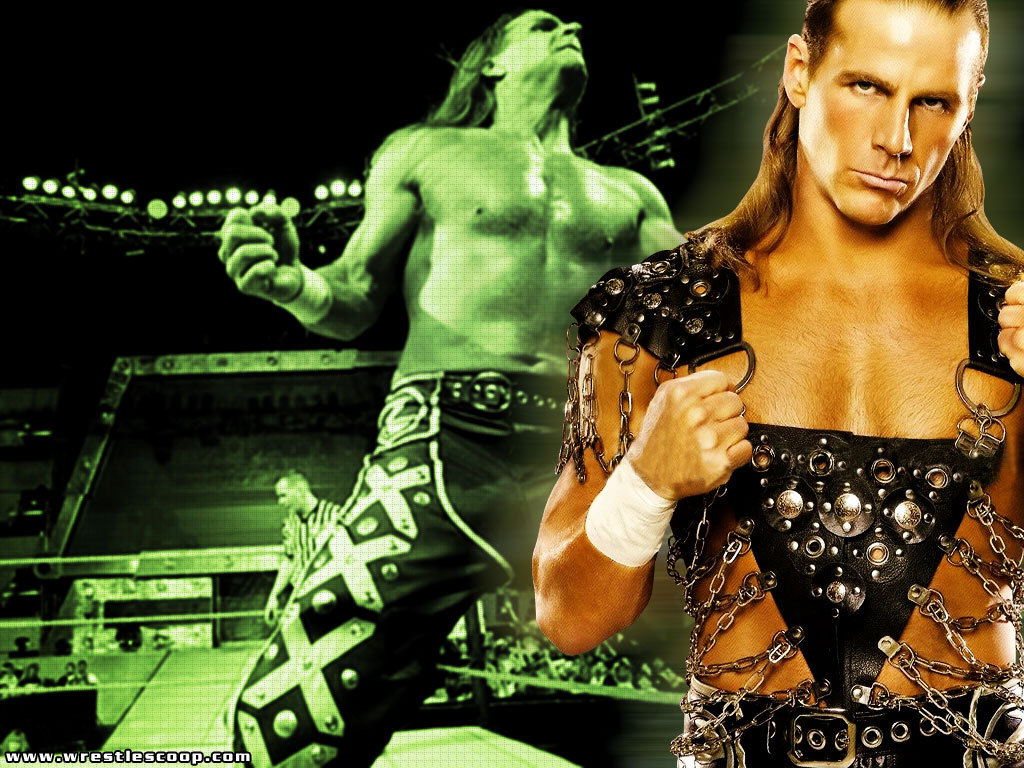 Wrestlers in WWE Shawn Michaels