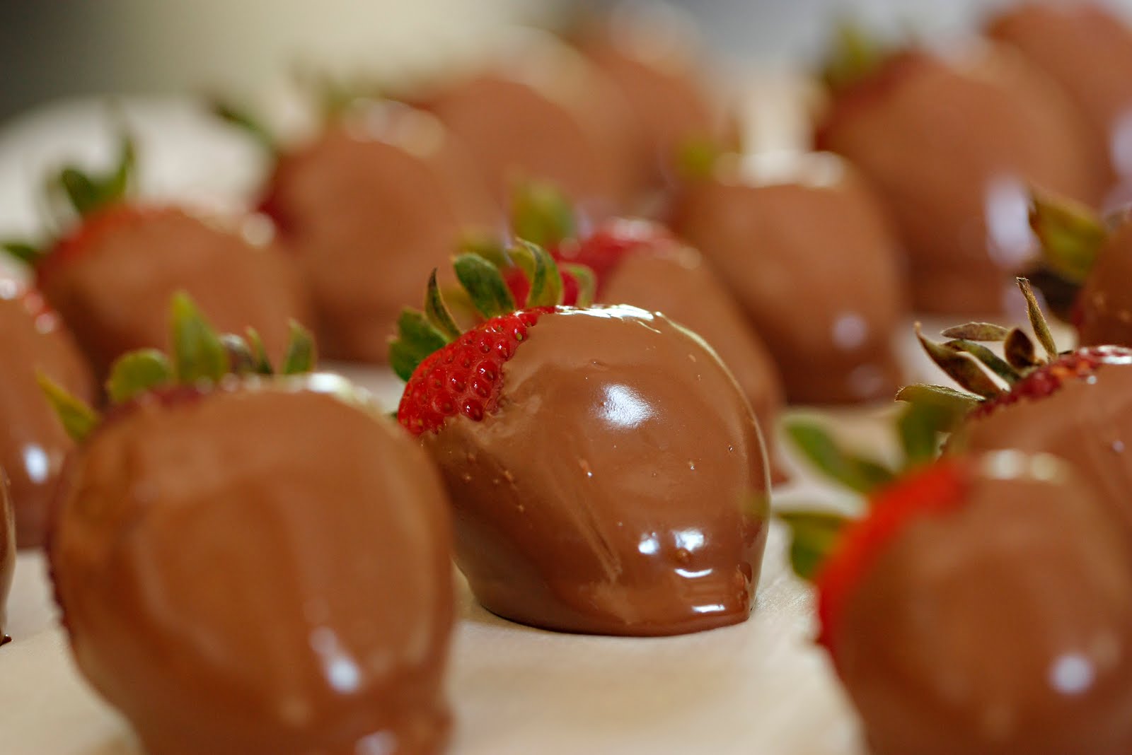 The Lazy Housewife Cooks Chocolate Dipped Strawberries