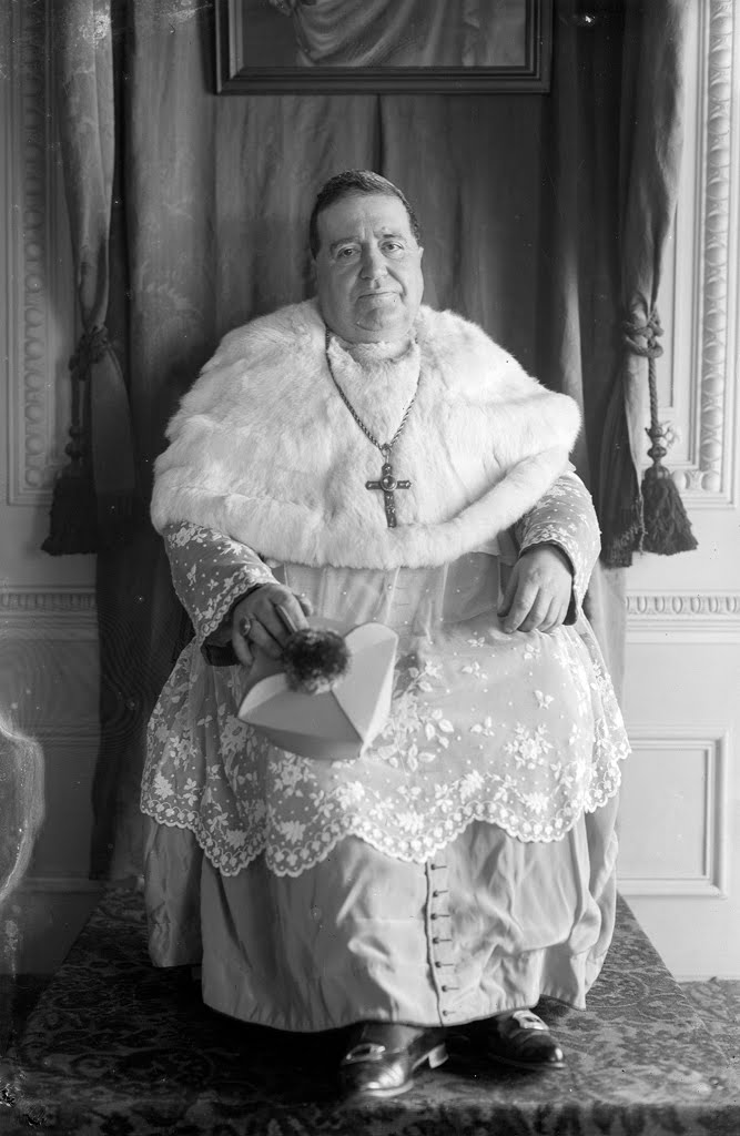 the far sight 2.0 José Alves Correia da Silva