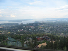 View of Oslo City from Hollmenkollen
