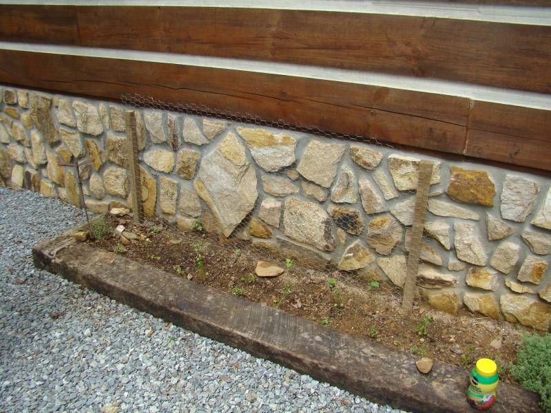 Morning Glories At A Snails Pace