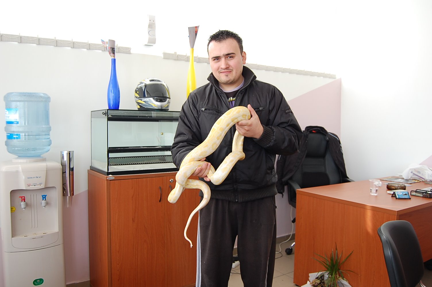 [DSC_0008.JPG]