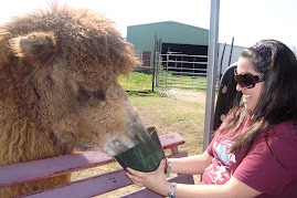 Megan Feeding a Camel