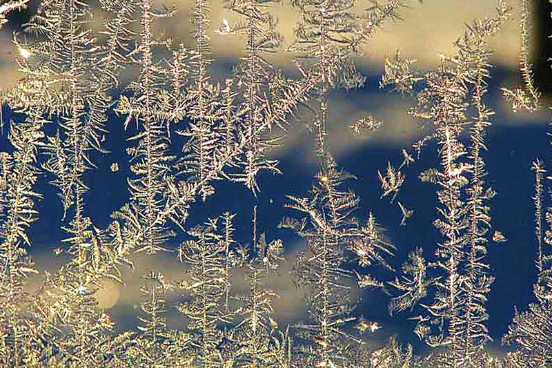 [31. Jack-Frost-Revisited-layers_6122.jpg]