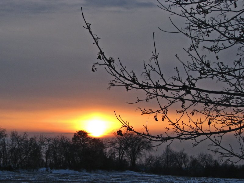 [sunset+over+field+12-13-08+5-8002.jpg]