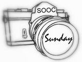 [0+SOOC+logo.jpg]