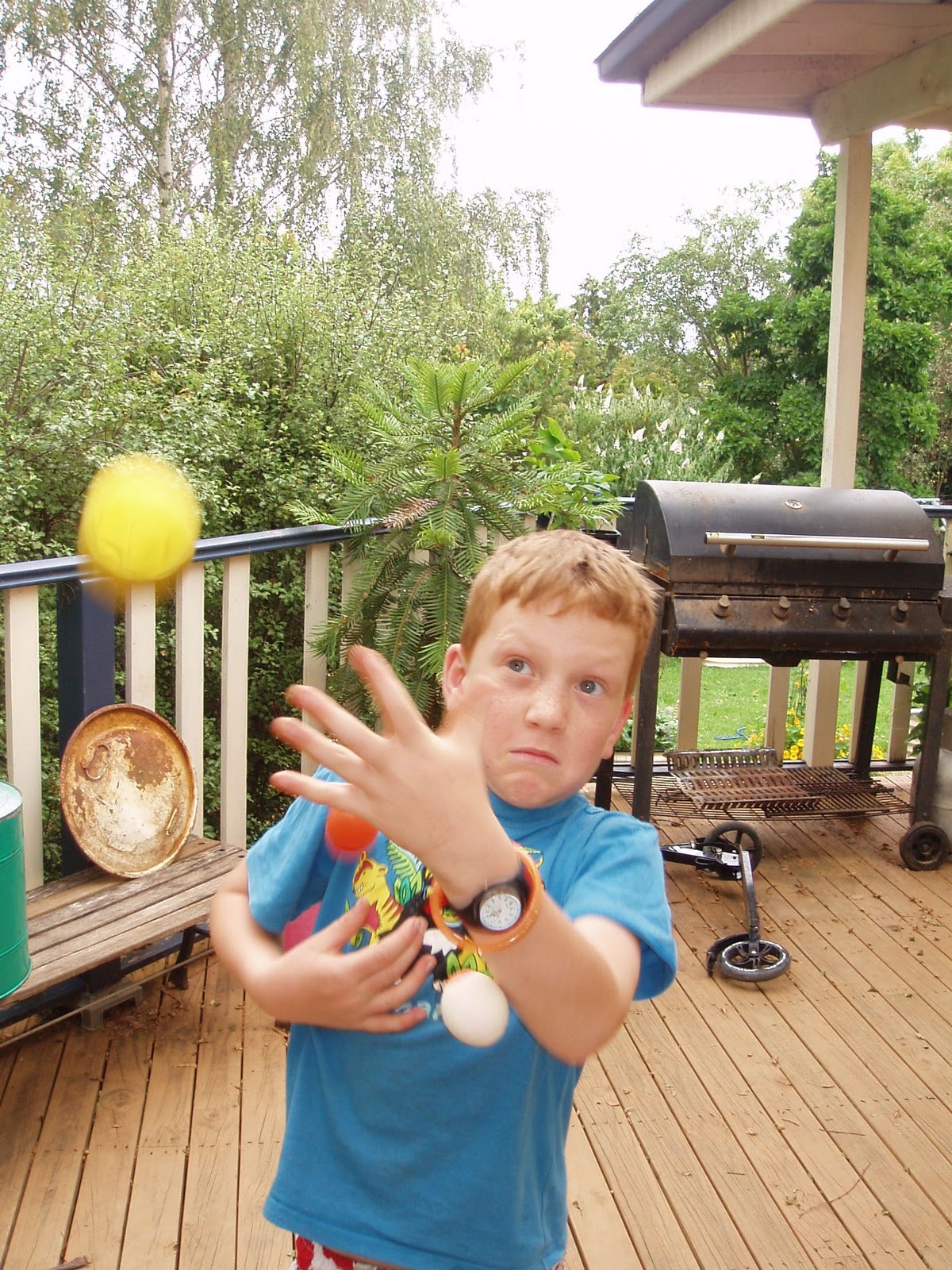 toward sustainability with three kids...... Holiday juggling fun