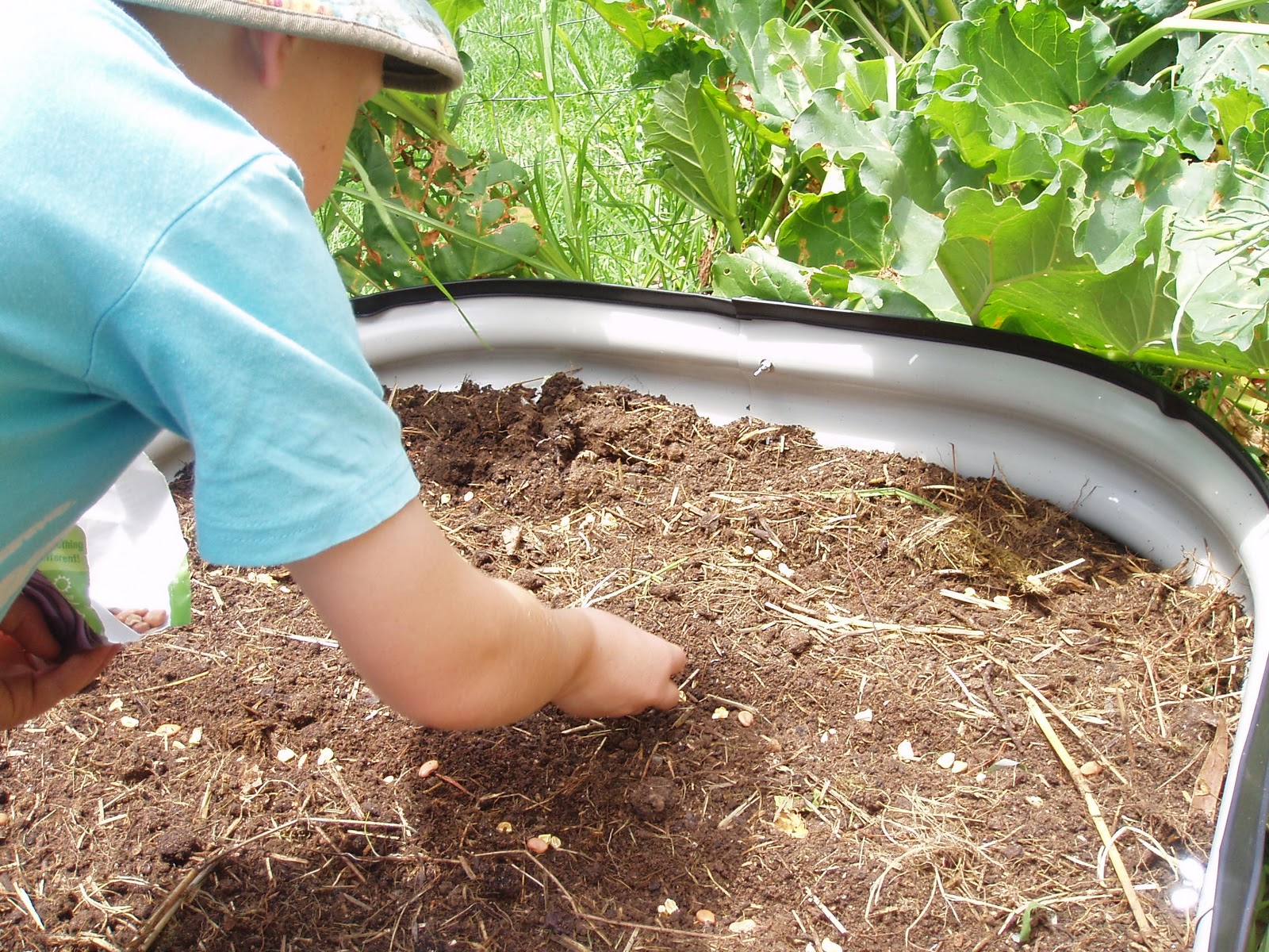 toward sustainability with three kids...... Our compost is cooked