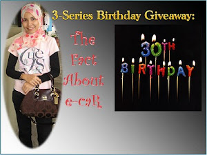 3-Series Birthday Giveaway: THE FACT ABOUT e-caR