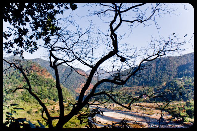 Ramganga River near National Jim Corbett Park: Posed by VJ @ www.travellingcamera.com: Two years back we choose Jim Corbett for year end trip and stayed at Ram Ganga Resort at the banks of Ramganga River. Here are few photographs of Ramganga River in Uttrakhand.Ramganga West river originates from Doodhatoli ranges in the district of Pauri Garhwal, Uttarakhand state of India. The river Ramganga flows to south west from Kumaun Himalaya. It is a tributary of the river Ganga, originates from the high altitude zone of 800m-900m. Ramganga flows by the Corbett National Park near Ramnagar of Nainital district from where it descends upon the plains. Bareilly city of Uttar Pradesh is situated on its banks. There is a dam across this river at Kalagarh for irrigation and hydroelectric generation.boulders strewn across the rive bed. These can be seen in almost any river as it reaches the plains.Ink blue... The river is mostly shallow with deep areas here and there. It can be treacherous.Some of these mountain rivers have slogged over thousands of centuries to carve their ways through the mountains. Erosion is an example of slow and steady wins the race...All around the ram ganga resort, the landscape is hilly with some excellent trekking trails. This photo was shot from one of them.Ram Ganga Resort at the banks of the Ram Ganga River.