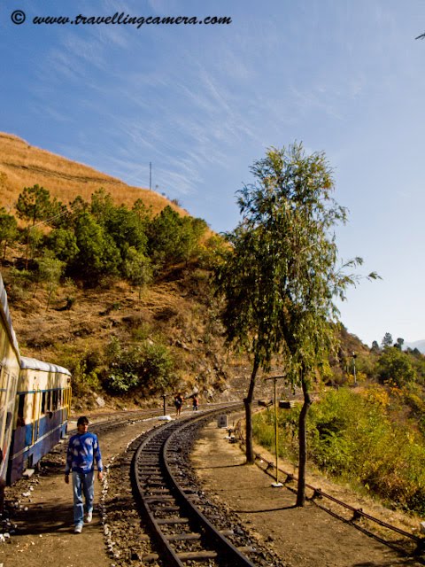 The 100-km long Kalka-Shimla narrow gauge railway track is an amazing engineering example which opens gates for actual hilly route through multiple bridges, hills, valleys, rivers and tunnels. The rail motor car of 1927 vintage which had the unique distinction of bringing Mahatma Gandhi in 1945 to Shimla for talks with Viceroy Wavell about British plans for leaving India, is still rail worthy and remains a tourist's delight....Going back to 1903, it is an engineering marvel, with 103 tunnels and over 700 non-girder bridges in a distance of only 100km. The route has longest tunnel, midway at Barog, which is 3800 feet long. More than two-thirds of the entire track is on curves, some as sharp as 45 degrees.Beside the sleek rail services, the train stops at or run past Jabli, Dharampur, Barog, Solan, Salogra, Kandaghat and Taradevi, to name a few of other railway stations on route. There are 12 seven coach trains and two of rail-motor cars to serve passengers...  Shivalik Deluxe Express, popularly known as the narrow-gauge Shatabdi, is most popular.Just see in these pictures... this is how it looks and there are lot many curves on the way... Luxury Trains includes- Shivalik Express, Shivalik Palace Ordinary Trains includes- Himalayan Queen, Shimla Kalka - Passenger Train -, Shimla - Kalka Mail, Mixed Train- Attached Honeymoon Coach. Himachal Pradesh enjoys the 2 narrow gauge Rail tracks - Kalka/ Shimla and Pathankot/ Jogindernagar. Kalka/ Shimla mini trains run on these treks popularly called 'Toy Trains' by the tourists.