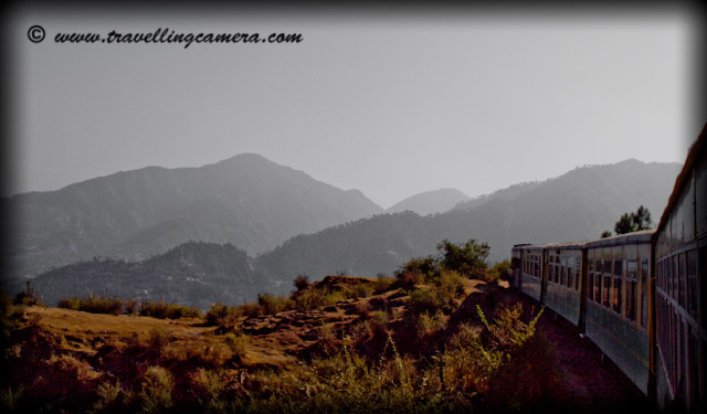 Views between Kalka and Shimla through Himalyan Queen: Posted by VJ @ www.travellingcamera.com:: Himachal, himalayas, Himachal Pradesh, Hill Stations, Hills, Snow Covered Hills, Snow, Toy-Trains, Trains, Railway, Railway-Stations, Tunnels, Bridges, Roads,  States, Solan, Shimla, Deodars, Pine Trees, Nature, Journey, Train-Journey, : Here are few photographs from my toy-train experience between Shimla and Kalka. It takes 7 hrs to reach Kalka from Shimla if you choose to go by Himalayan Queen. Check out photographs below and you will appreciate the time spend during this journey...Toy train crosses various mountains, rivers, tunnels and bridges to reach Kalka. For those, who prefer to explore beauty of nature on their travel to India, I think the beautiful hill state of Himachal Pradesh is the right place for them. The state is gifted with superb natural beauty . It is the land where snow-capped mountain peaks of mighty Himalayas touch the clear blue sky.It is a land where meadows of colorful wild flowers lure the tourists and make the environment enjoyable with their sweet fragrance. As we cross Tara Devi, suddenly environment changes with new colors... Pine Tree instead of Deodars... Comparitively less green hills and so on.... But thats special about this journey where travelers start from very high hills covered with Deodars and then it changes to small hills with pine tree and then plains... These Toy trains are very well maintained by Indian Railways...The rail route has 107 tunnels but the train passes through 103 tunnels, big and small. The toy trains cross the longest tunnel at Barog in 3 minutes. Besides the Barog tunnel, other 3 big tunnels on this route are Koti - 2,276 feet, Taradevi - 1,615 feet and Tunnel no. 103 - 1,135 feet.Dense fog welcoming us after longest tunnel of Barog... Before this, it was hot due to harsh sun light... Everyone in our train was very excited after this but it became boring when we were not able to see anything around us....During this journey, weather changed suddenly  after crossing the longest tunnel of Barog.  It  are bollywood style change  where  you feel like magic ...  It was very difficult to see  the things around us... After some  time, this mist entered into the train and  we were not able to see faces sitting  on third  seat @ the distance to 12 feets approximately...A view of Shimla Town from Tara Devi Railway Track... During this visit, I stayed in New Shimla which is very well planned region and Shimla really needs better planning in future..Mustard fields on the way to Kalka through Toy-Train from Shimla. This has been shot near Solan which is a district headquarter of Himachal pardesh and a beautiful valley. Solan is well developed distrcit in terms of Education, research and industrial development...Himachal Pradesh is a perfect destination for tourists who love to see nature at its best.The rail track rises from Kalka at 640m to the freezing zones of Shimla at 2,060 m. A tour from Kalka to Shimla is just amazing. The toy train twists its way gradually through the hills up to the alpine, approaching of the demeaning Himalayas. Through the way some of the awesome views of the landscape can be cherished at Kushalya River, Koti, Barog, Kanoh, Jabli ...