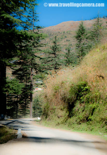 Fifth Day of MTB Himachal 2010 - Highest peaks of Jalori Pass welcomed us with Snowfall - 27th October 2010: Posted by VJ SHARMA on www.travellingcamera.com : Hope you have been enjoying the PHOTO JOURNEY of MTB Himachal 2010 and it's fifth day now ... Everyone has left Kullu Sarahan Camp and first stretch has started .... ON fifth day we had to reach Baahu for camping... We crossed Baghipul, Urtu, Nithar, Bandal, Kutal, Kalog, Durah, Nithar, Jalori and finally reached Bahu... Check out these photographs from fifth day of Bike Riding....Mr. Ankit Sood and Sumit Sond, two PHOTOQUEST participants .... Both of them were very energetic and  on fifth day of MTB Himachal, they decided to have Buggy ride... I had a good company with Ankit, Sumit, Surbhit and Jimsee... Real Artists !!! Riders moving towards Jalori Pass which had recently got snowfall... everyone excited to hit the place with snow and have some fun in white...Real Engineers of India who make our lives comfortable... Here is a Photograph of daily-wage worker on th side of a road under harsh sun.. He is breaking big stones into appropriate sized pieces for repairing the adjacent road...During fifth day, we were traveling on very high and narrow roads ...  Here is one of the view we had from the edge of a road ...  A Photograph of Satluj River crossing various hurdles of Himalayas...Finally whole Group of MTB Himachal riders reached Jalori Pass... here is the beginning of the mountains with snow... Most of the mountains at Jalori Pass had recently got snowfall and Bangar hills were just behind these hills....I also wanted to have one photograph with these riders in front of Bangaar Hills but unfortunately snow covered Bangaar Hills are not clear in this Photograph...This is the point where we had to start the uphill Stretch and we are standing here to make sure that every rider take the hidden cut rather than going straight towards Aanni... Most of the Photographers were asked to stop at tis point because the road ahead was narrow and we didn't want to block the road for riders....Since we were waiting at this point, I though to trying some panning shots here and here is one of the panning shot of rider flying towards Baahu...This journey was wonderful journey through scenic roads with naturally rich hills in Himalayan Ranges of Himachal .. Really MTB Himachal 2010 provided a great opportunity to explore unexplored Himalayan beauty...Here is a photograph of a Himachali Village which came on the way to Baahu...Seeing waterfalls, snow covered hills, beautiful houses was a common thing during this journey of MTB Himalayas ... Its evening time now and time to take rest at Baahu Camp.... 