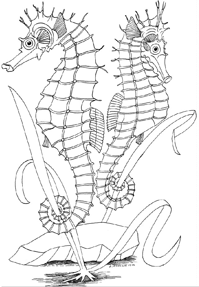 underwater coloring pages - photo #25