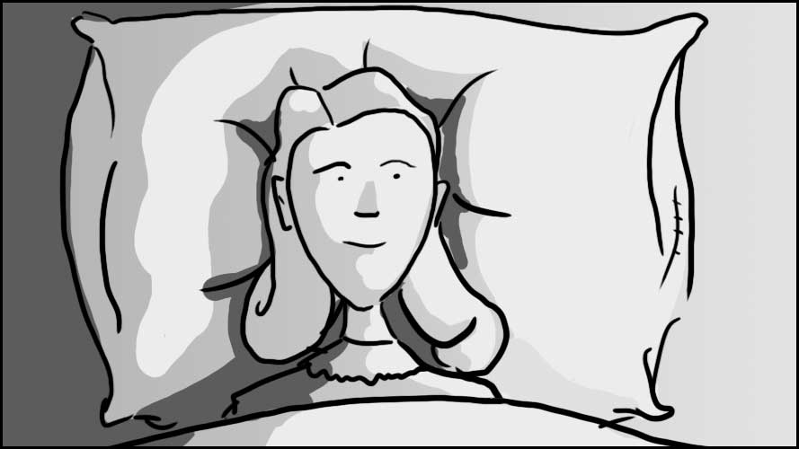 Crokis The Feather Pillow