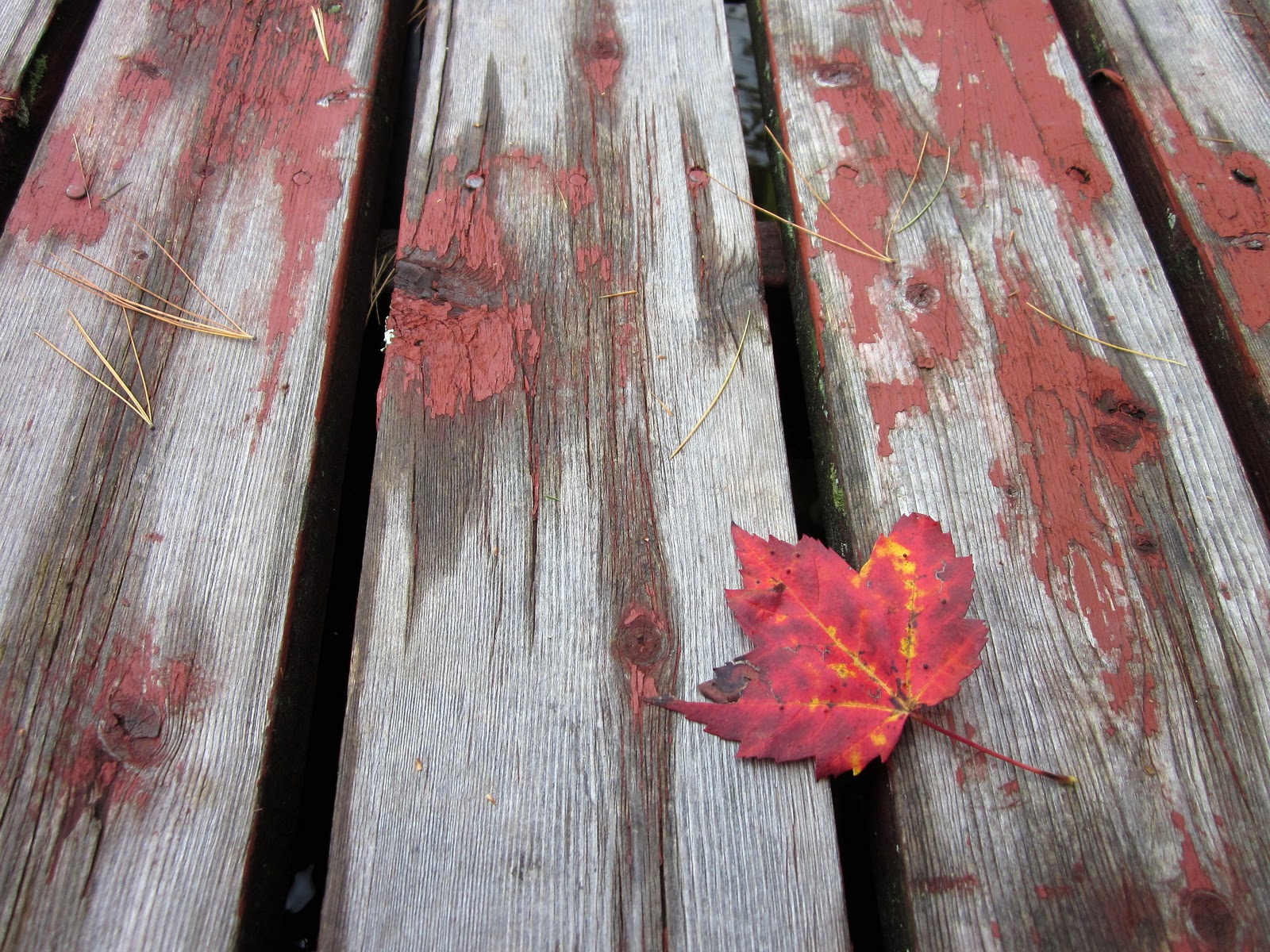 Sense and Simplicity: Photo Challenge: Age