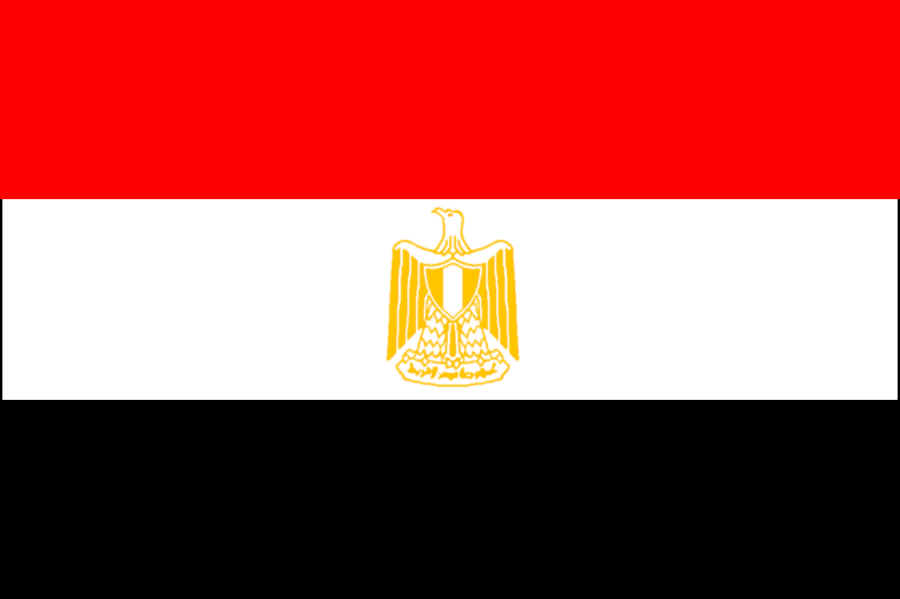 [egypt-flag.gif]