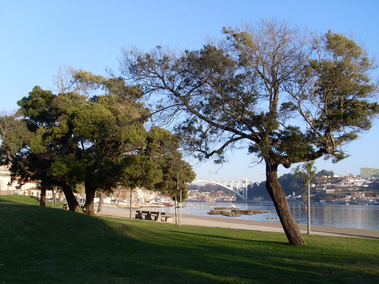 Douro, margem direita