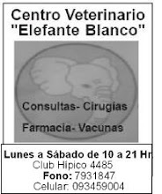 Veterinaria Elefante Blanco