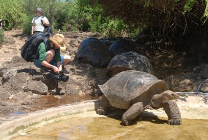 [Danny+&+turtles.jpg]