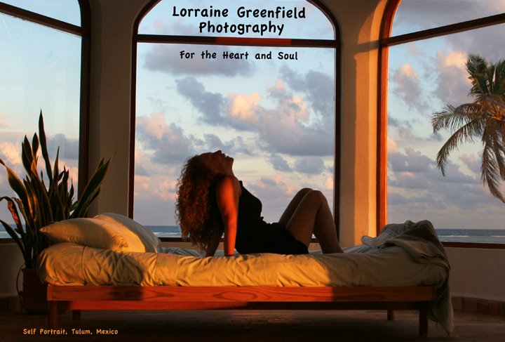 Lorraine Greenfield Photography