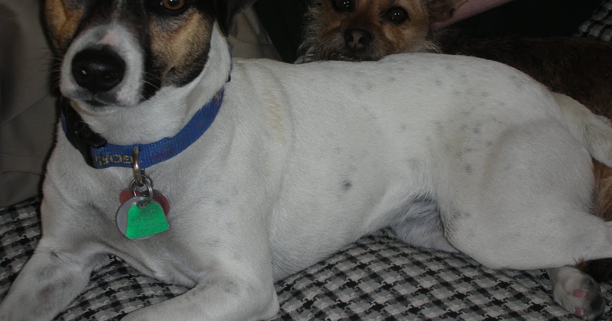 Allergies in Albuquerque