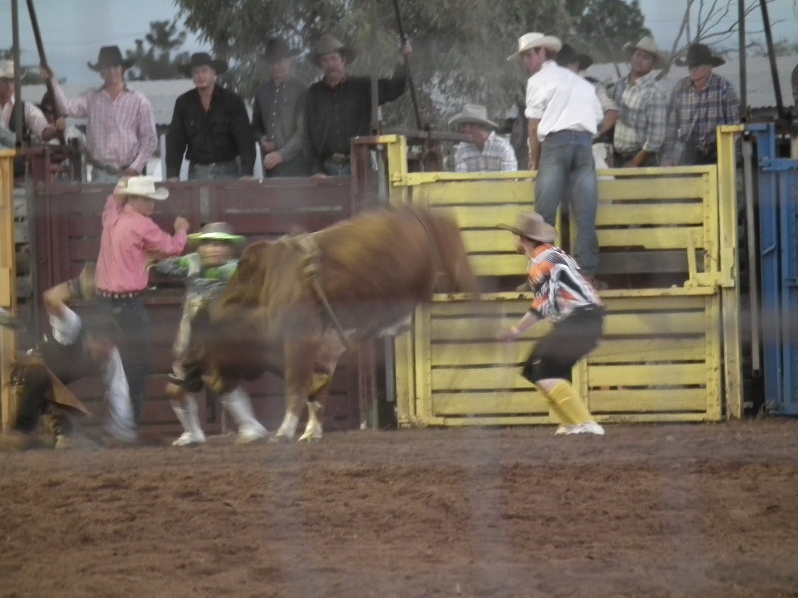 Australian Adventure Winton to Cloncurry