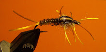 ANOTHER BRAIDED STONEFLY