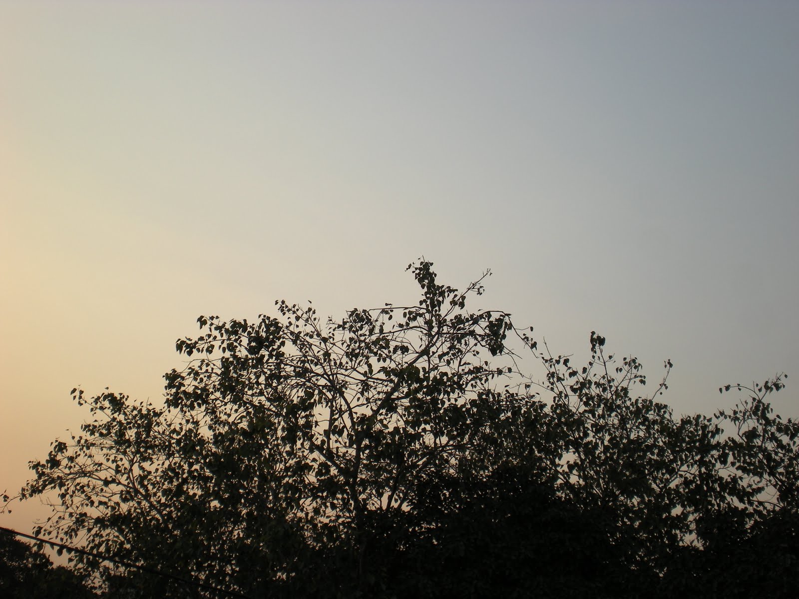 [DSCN0178.JPG]