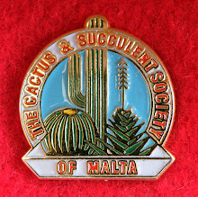 Society lapel pin aprox. 1.5cm