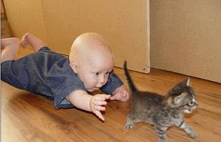 menino-correndo-gato-pet-cat