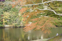 三島湖の紅葉