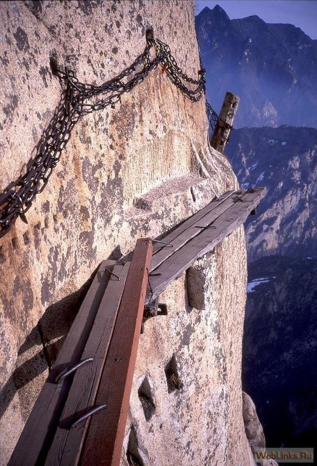 [FollowMe.jpg]
