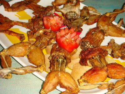 fried+frogs.jpg