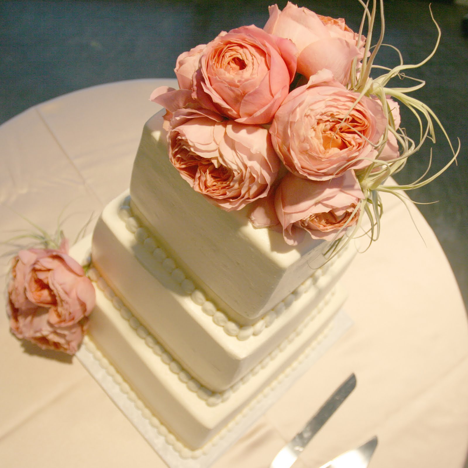 [Pink+rose+wedding+cake.jpg]
