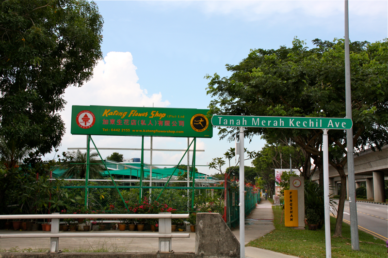 Passionate About Life P.A.L My Little Oasis