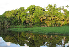 Medical Tourism Costa Rica
