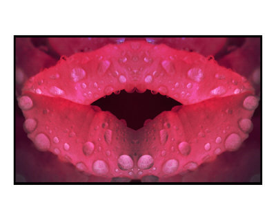 [Rose-Petal-Lips.jpg]