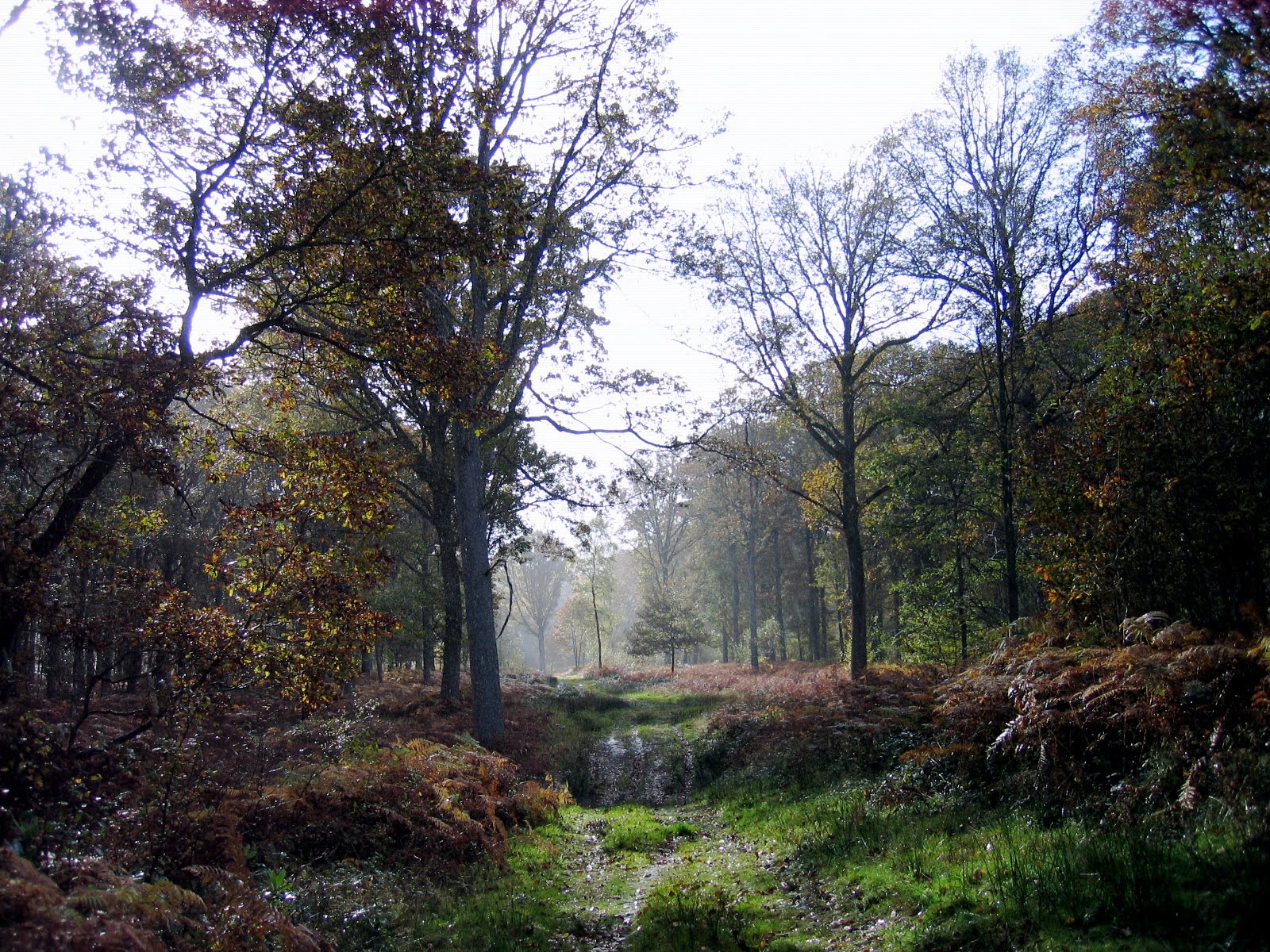 [IMG_4257_2.JPG]