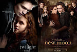 Twilight vs New Moon