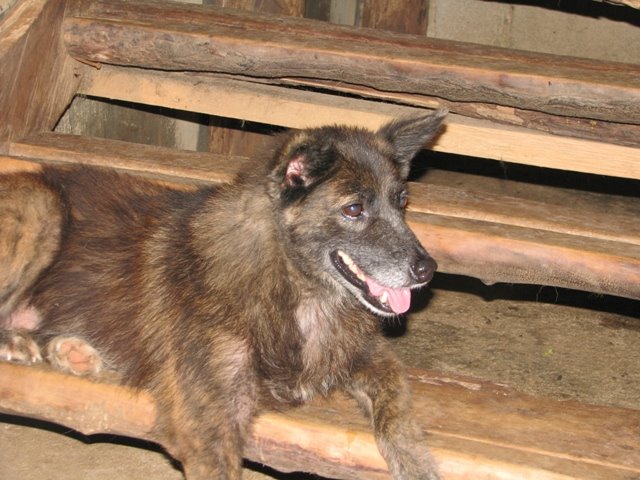[IMG_3626.JPG]